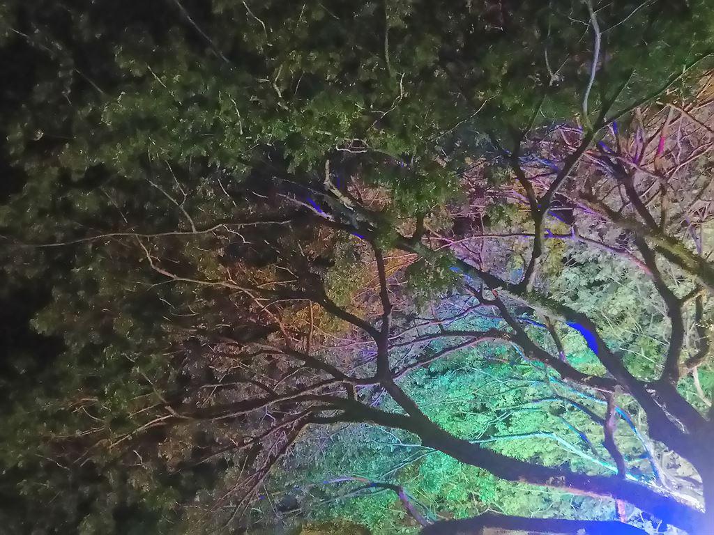 illuminations