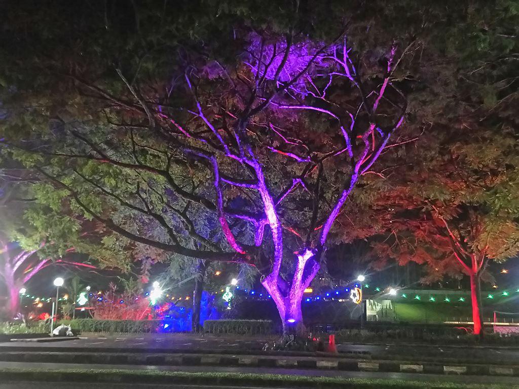 lighttree