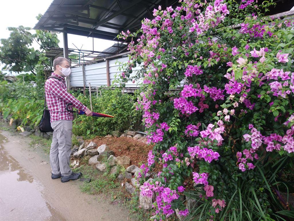 flowers1