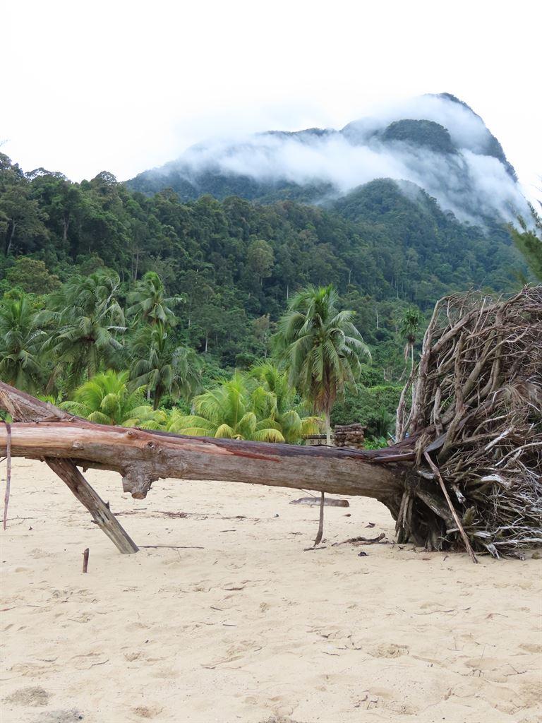 santubong
