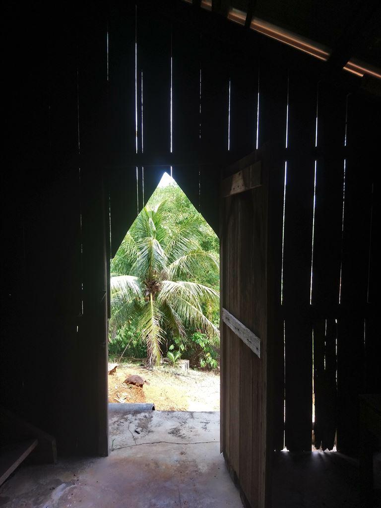 lookingout