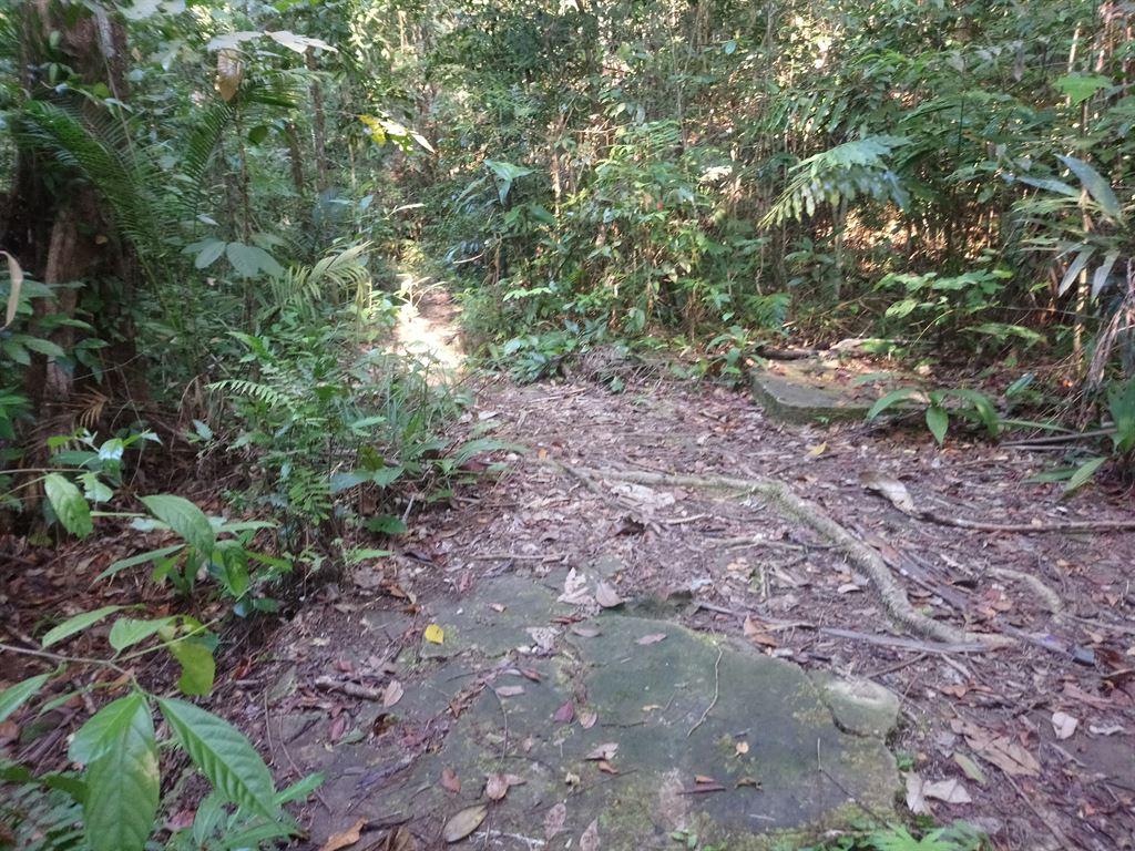 site