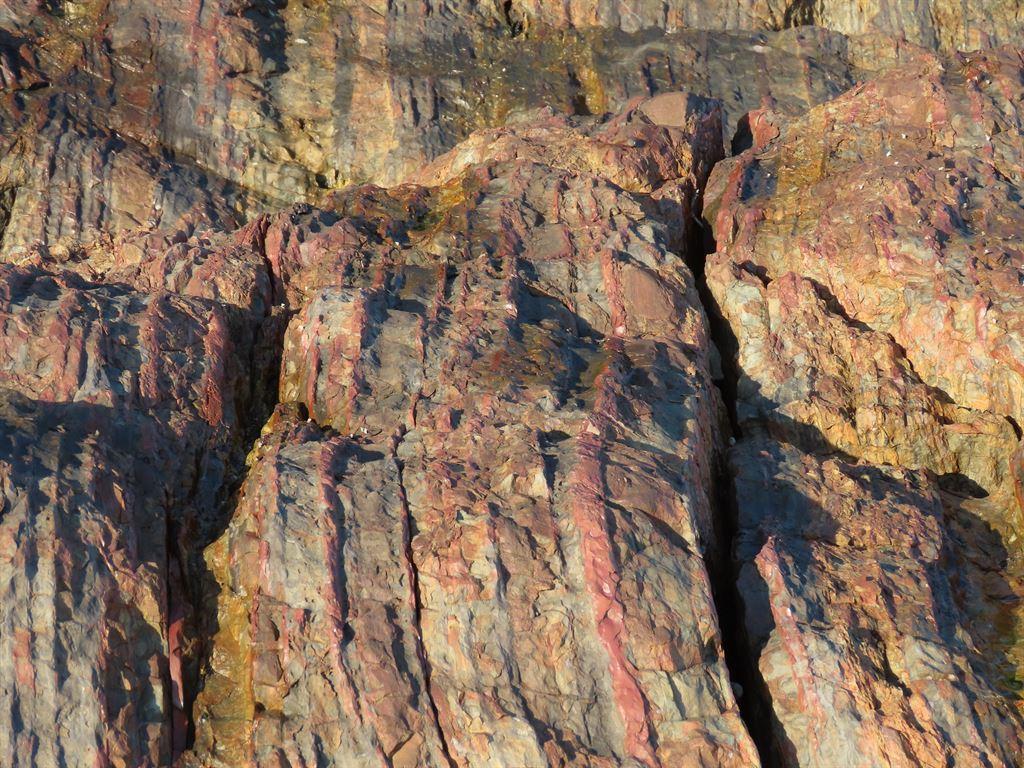 ruddyrock1