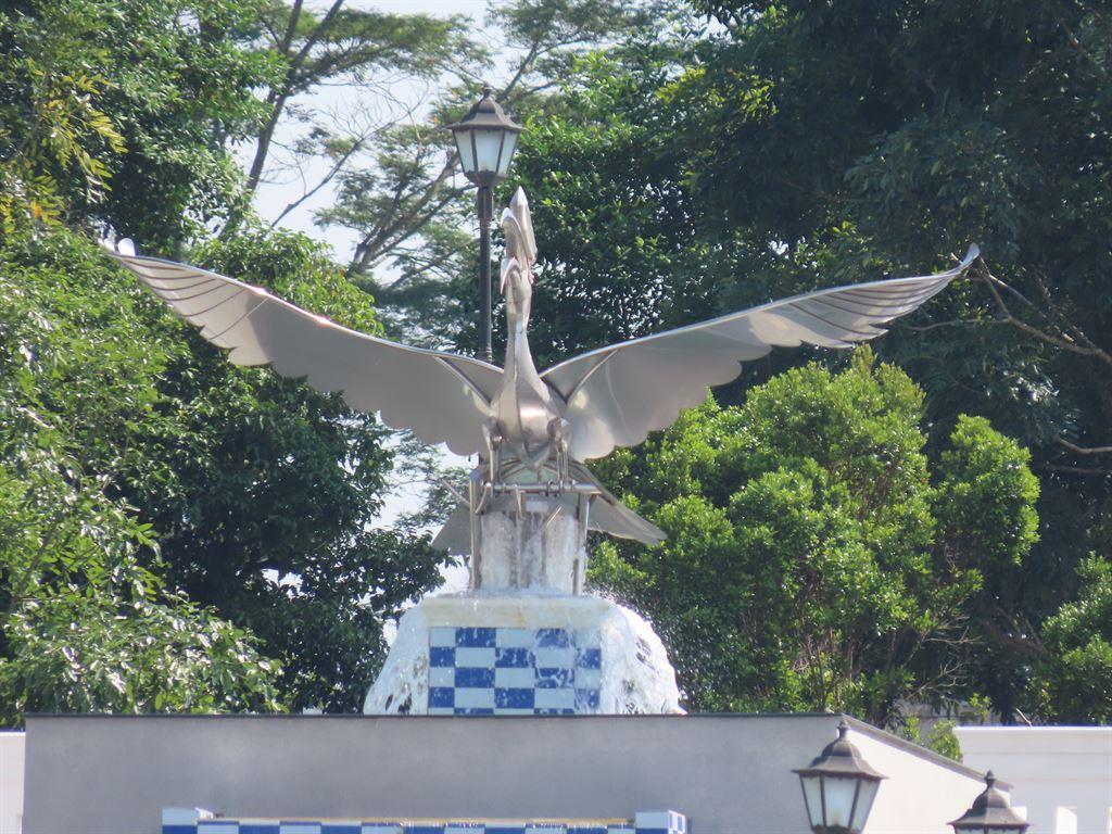 hornbill