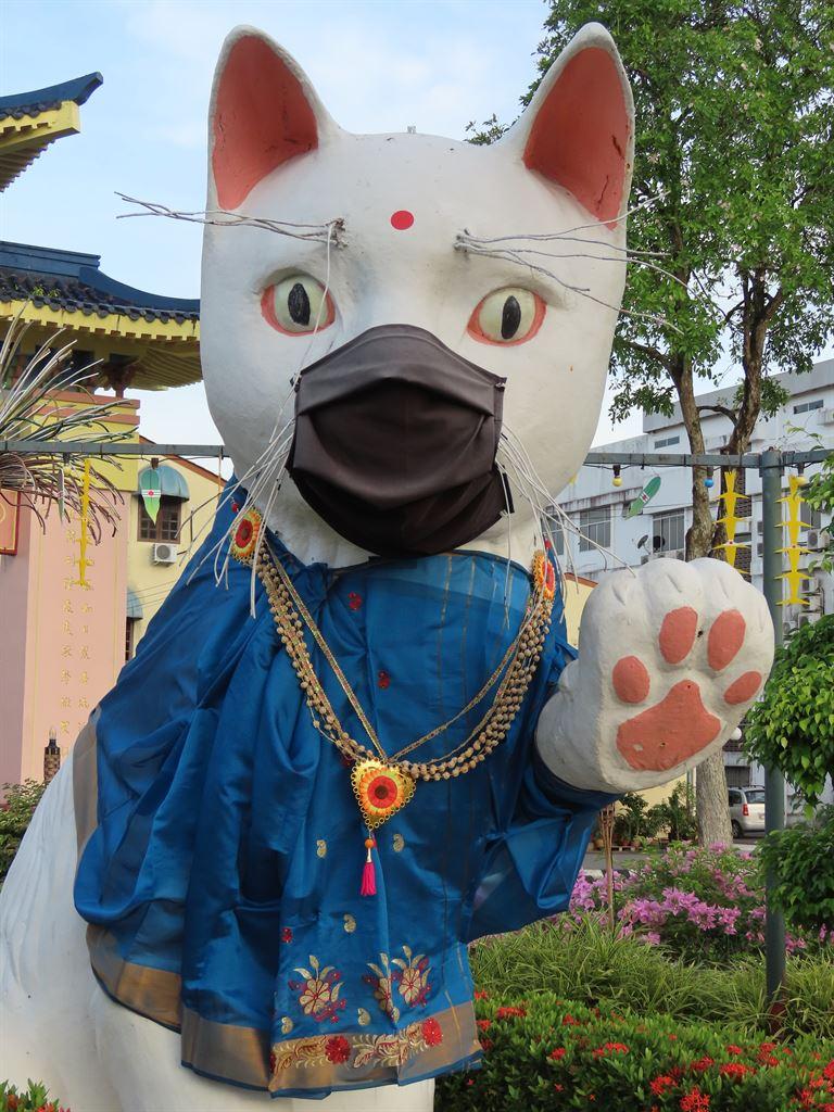 cat2