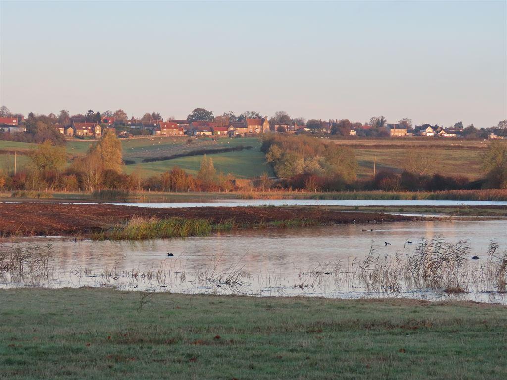 summerleys