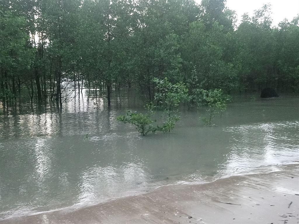 greenwater