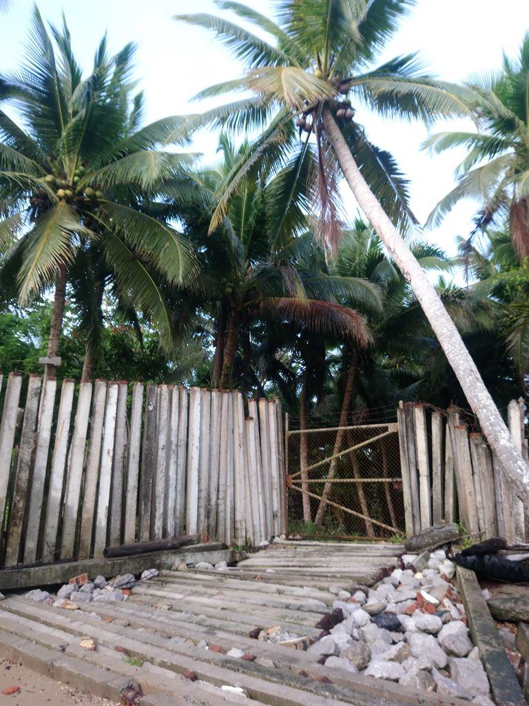plantation