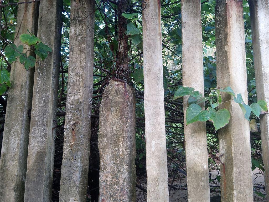 wall