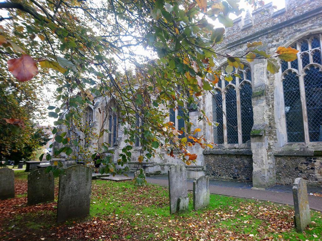 stmary5