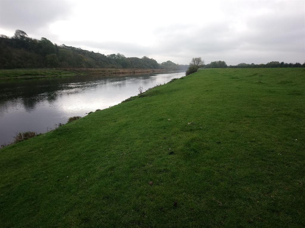 meadows