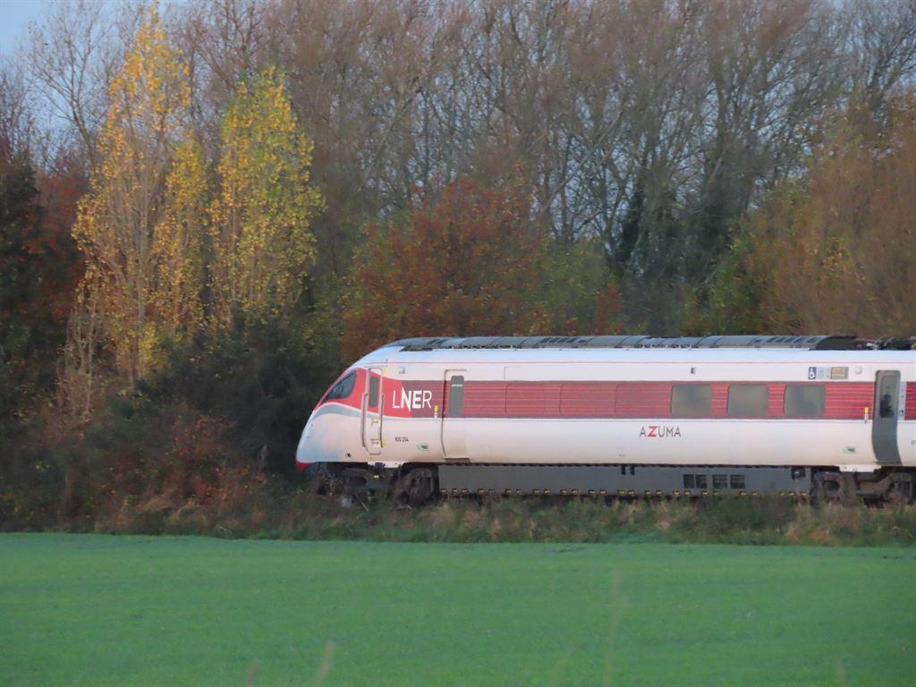 train