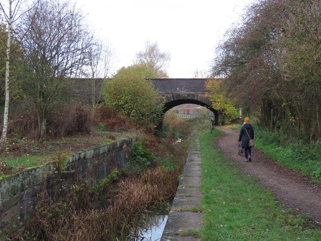 bridge2