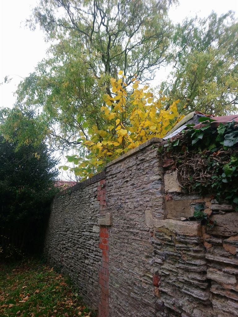 wall2