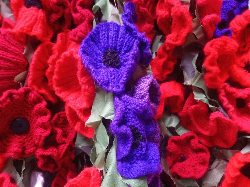 poppies