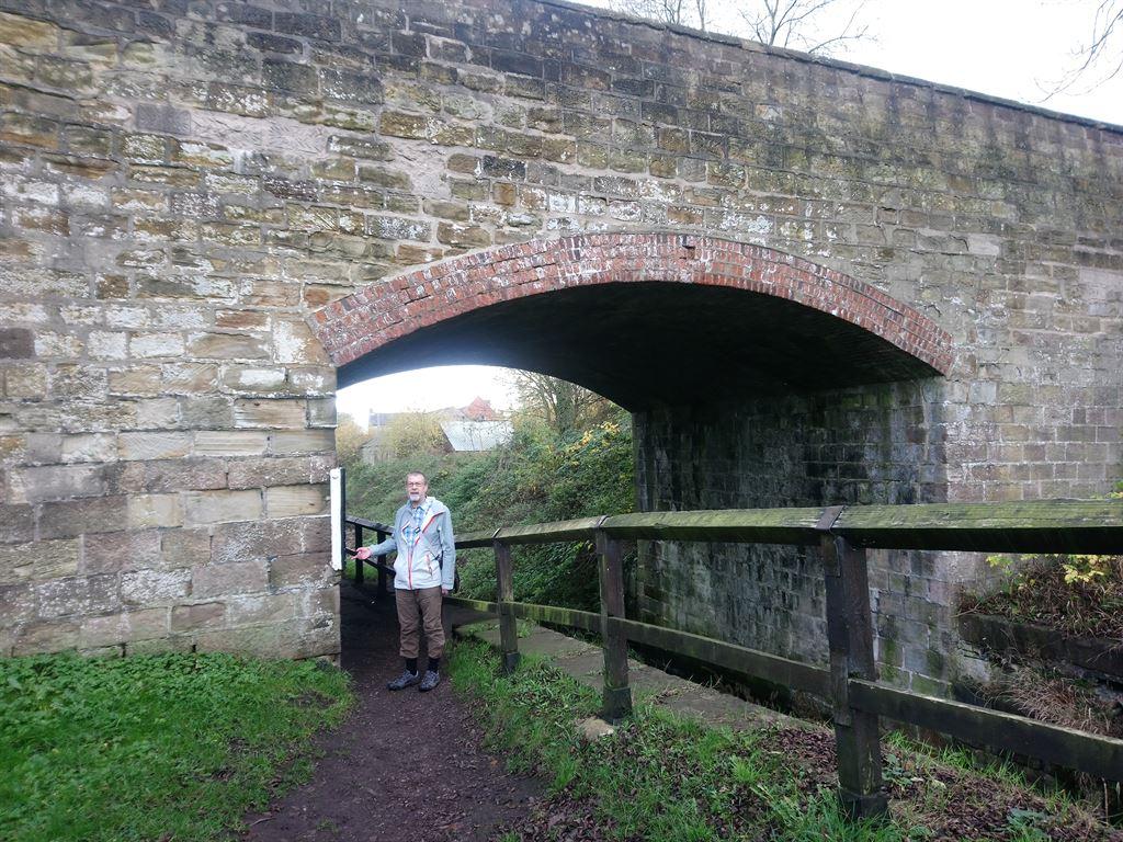 bridge3