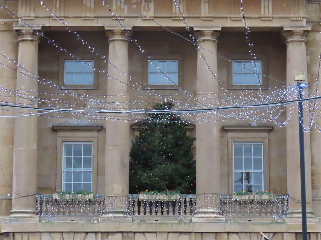 tree&loggia