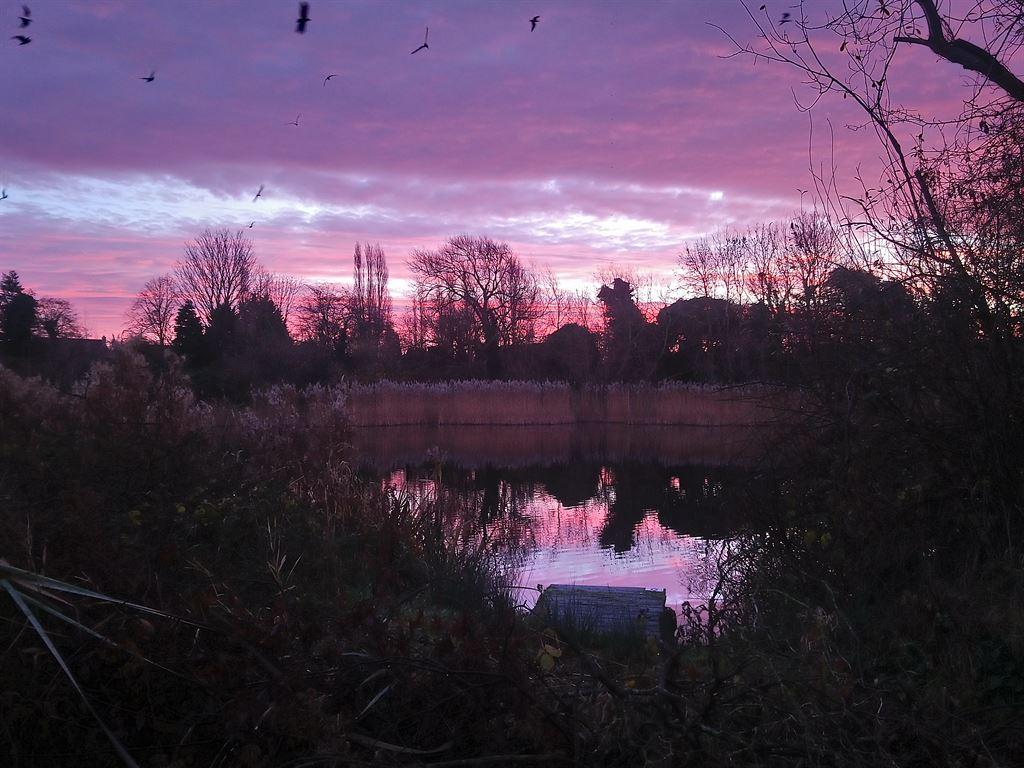 sunrise3