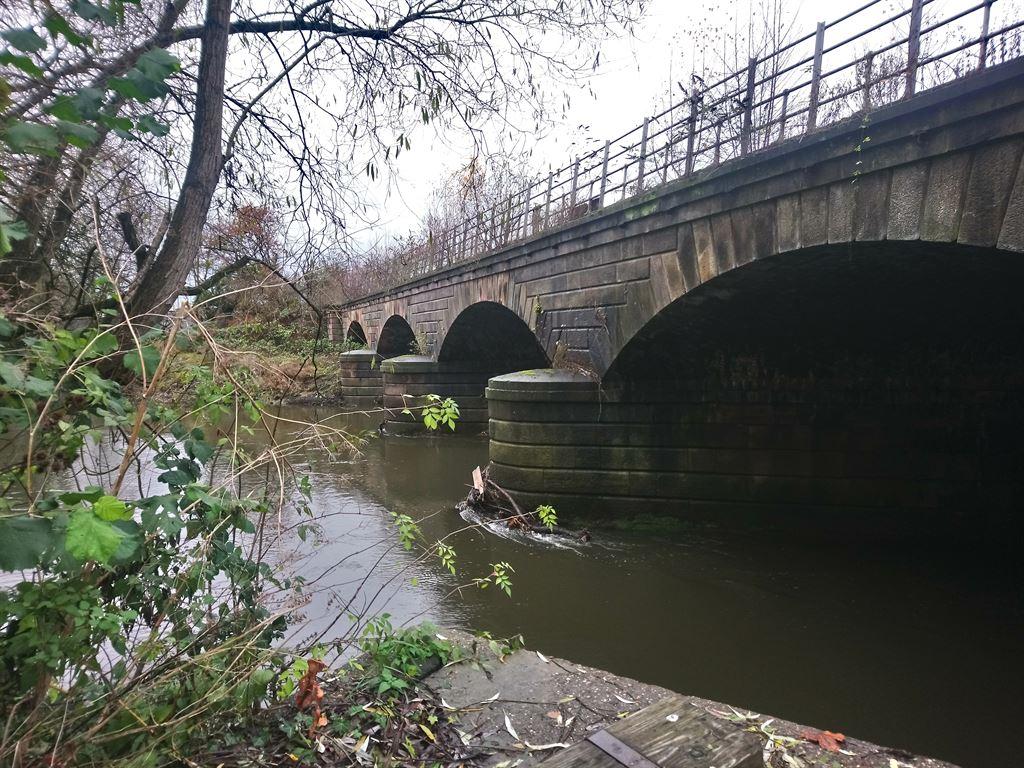 bridge
