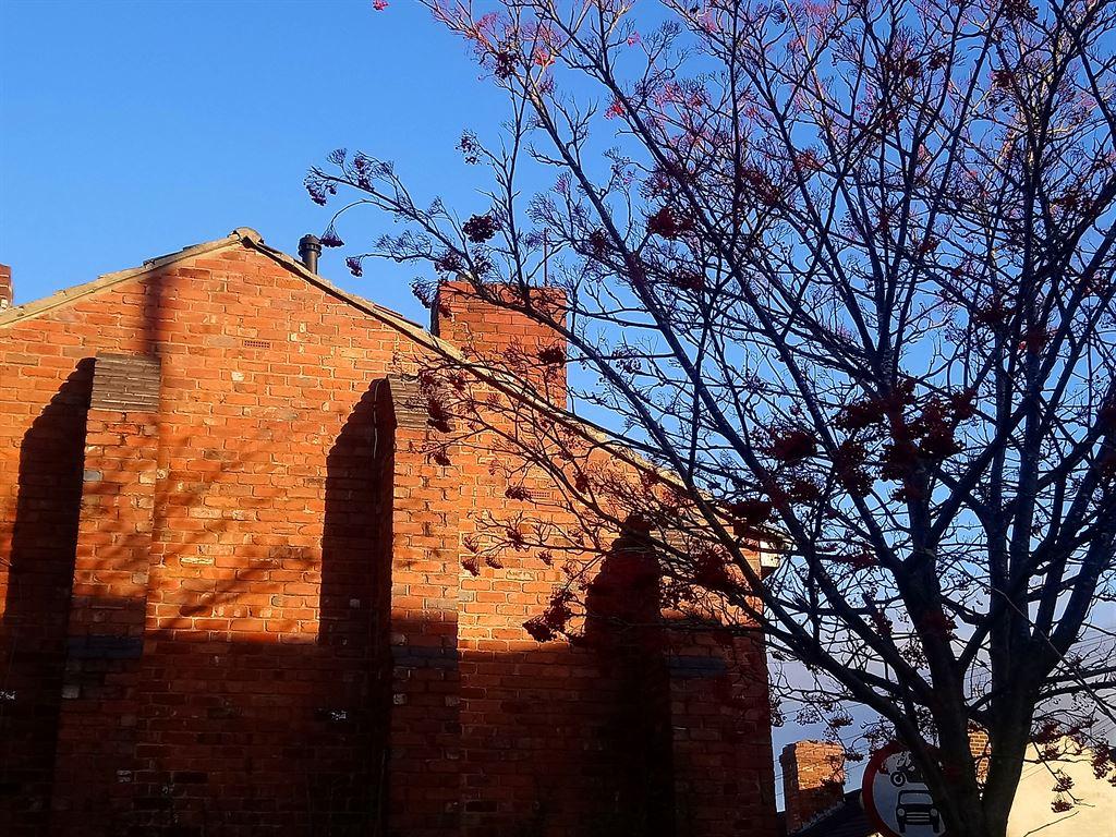 wall