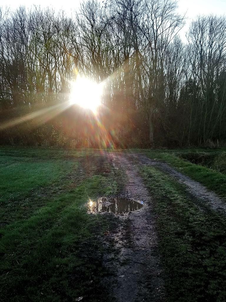 sun