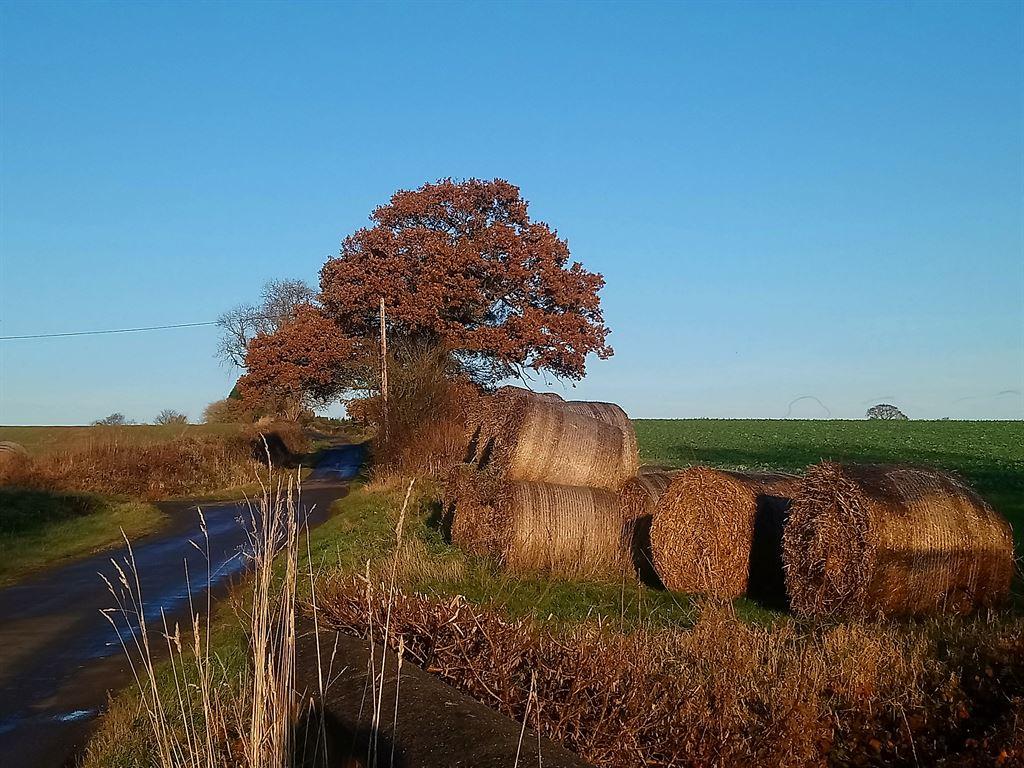 bales