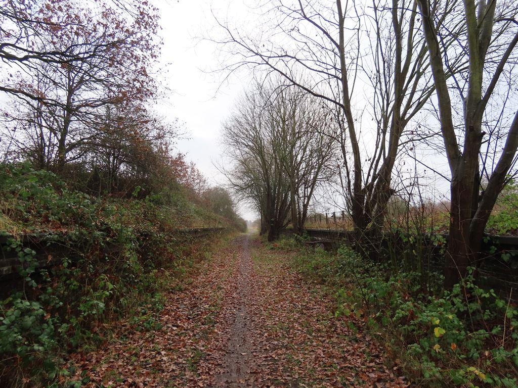 oldline