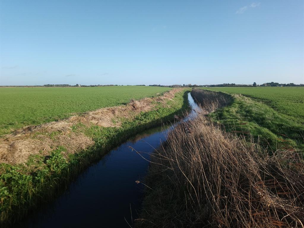 drain1