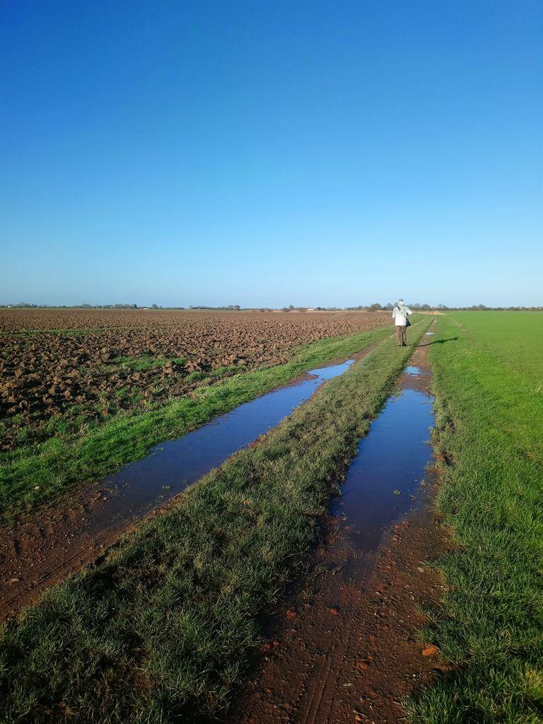 path