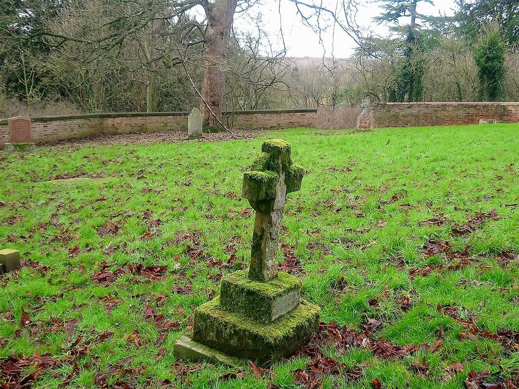 mossycross