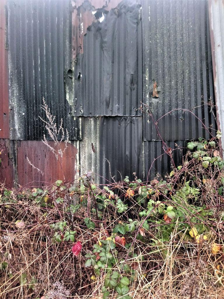 galvanize1