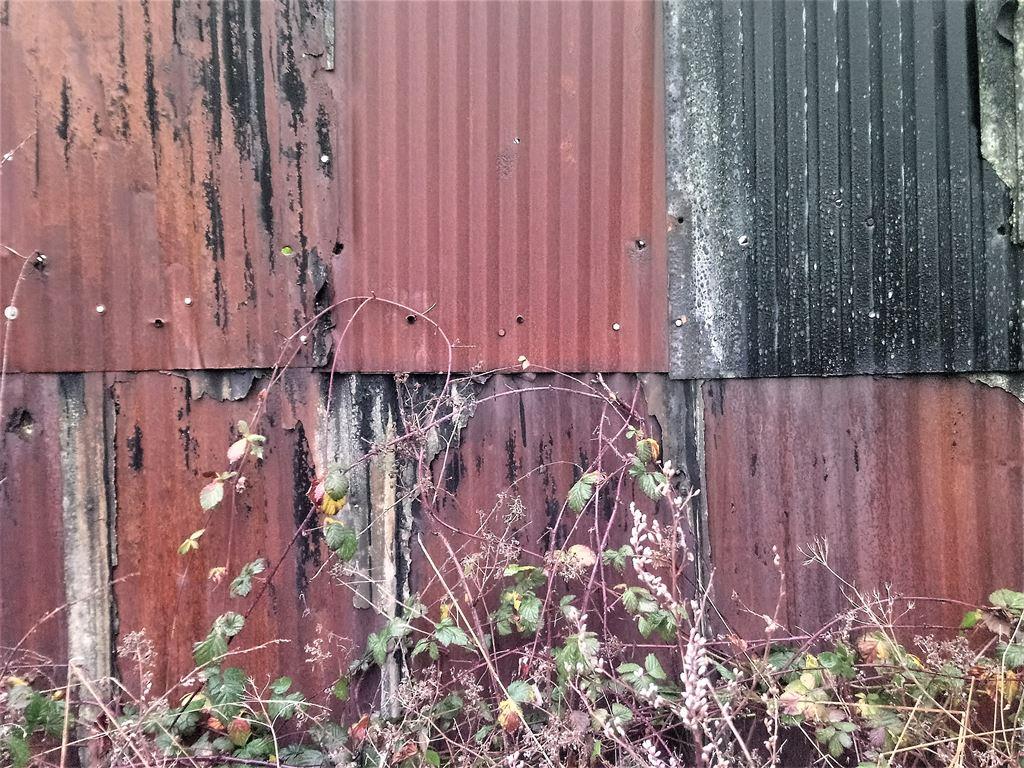 galvanize2