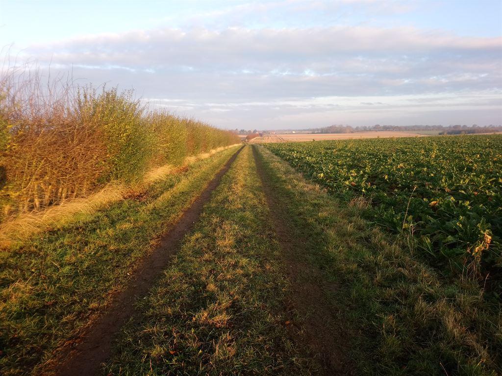 path