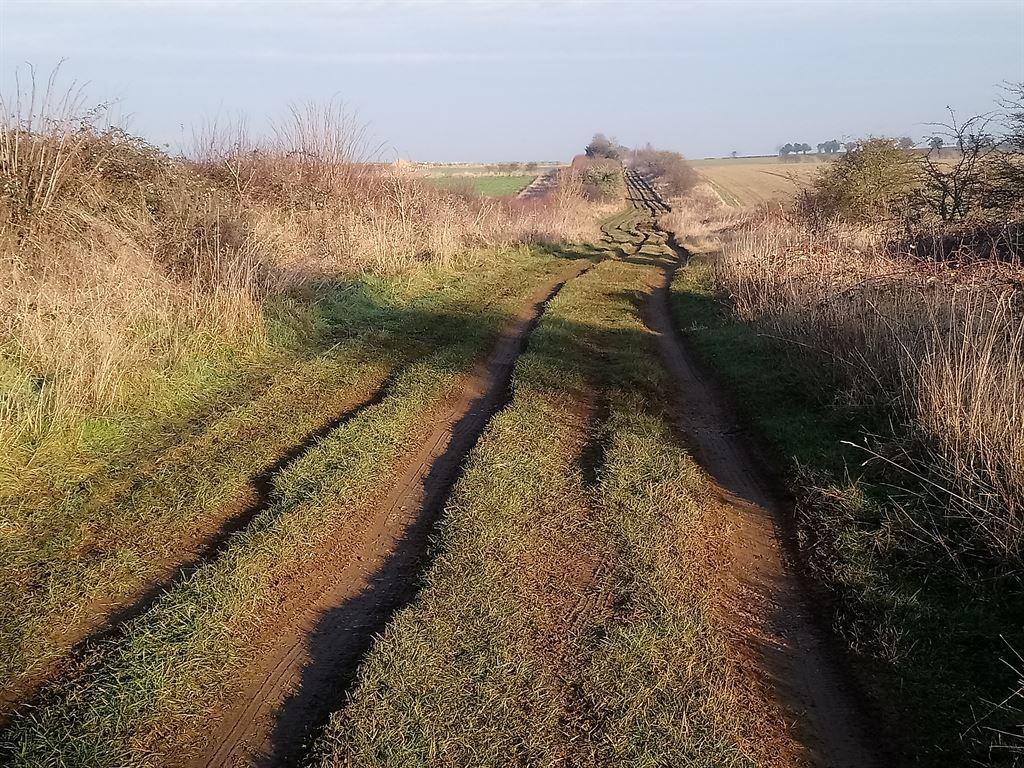 ruts