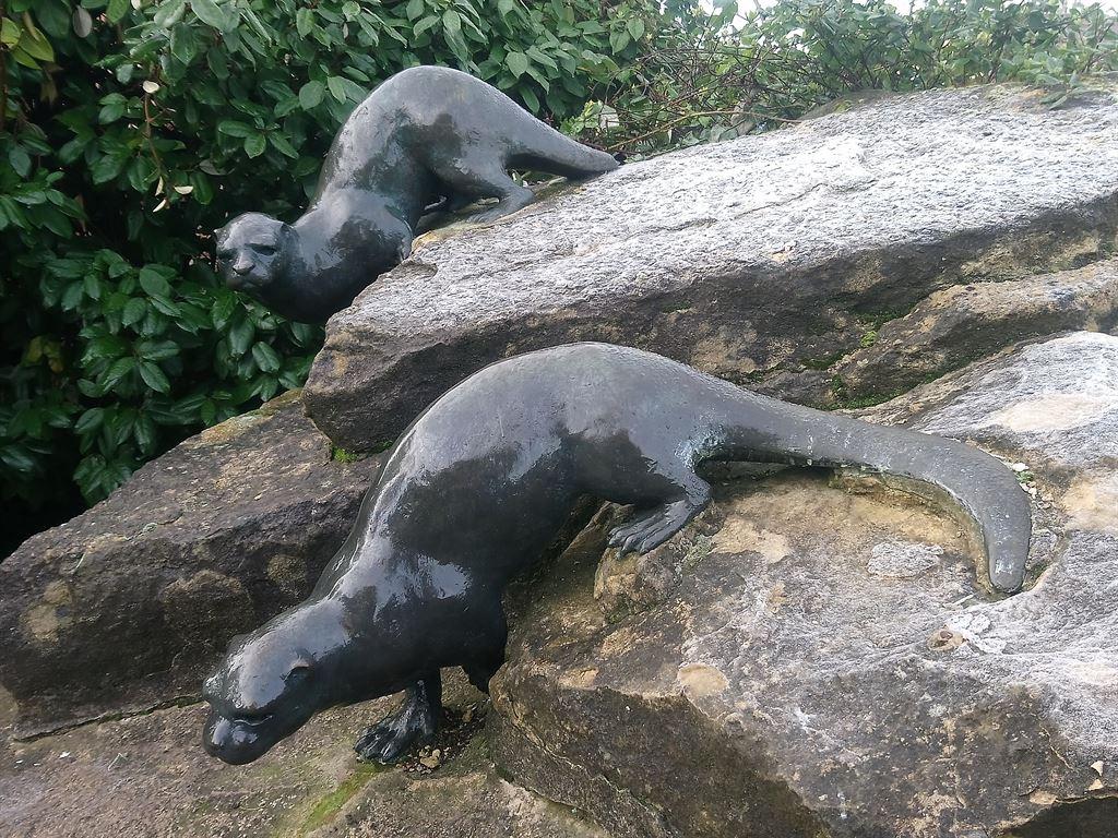 otters