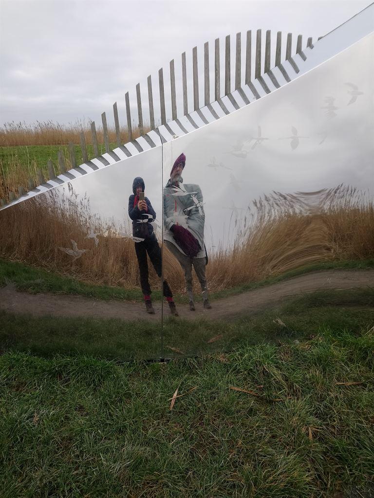reflector1