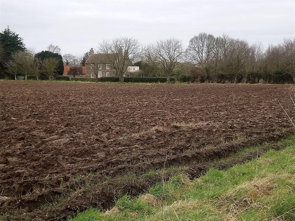 field