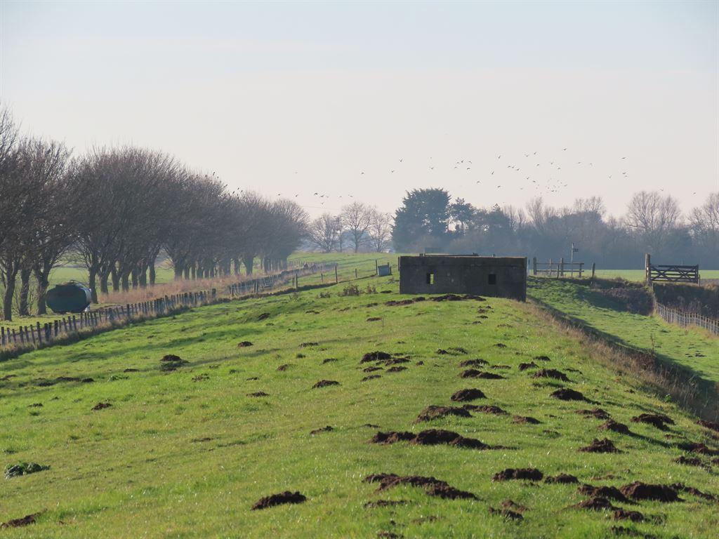 pillbox1
