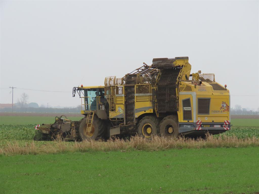 tractor