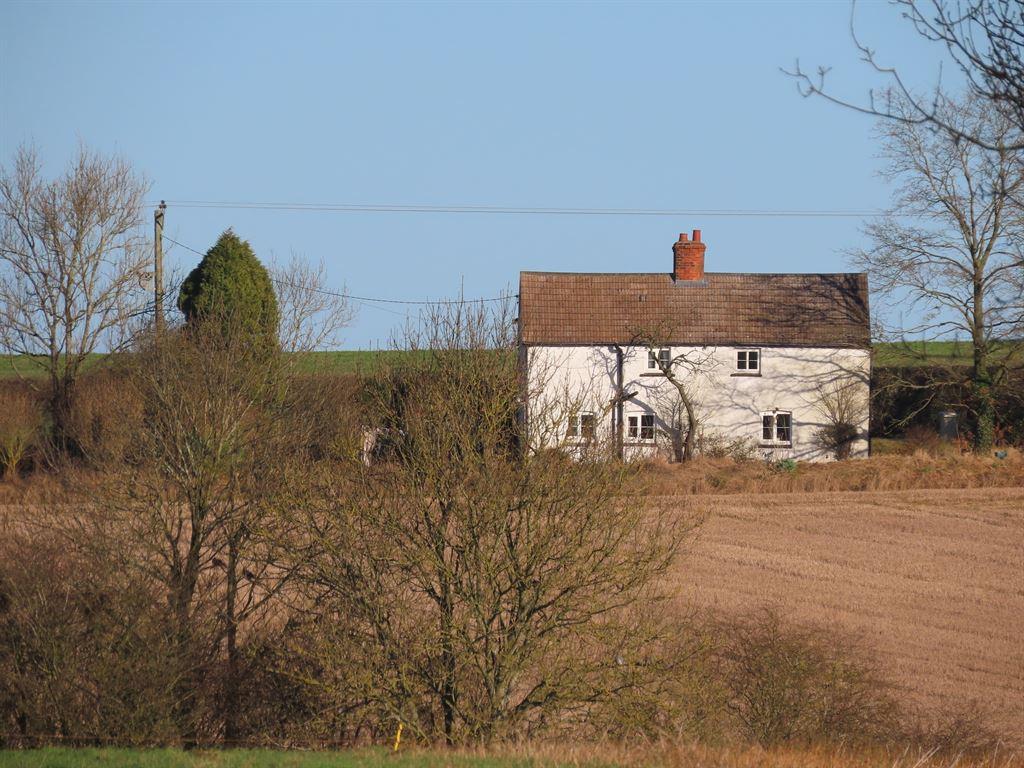 whitehouse1