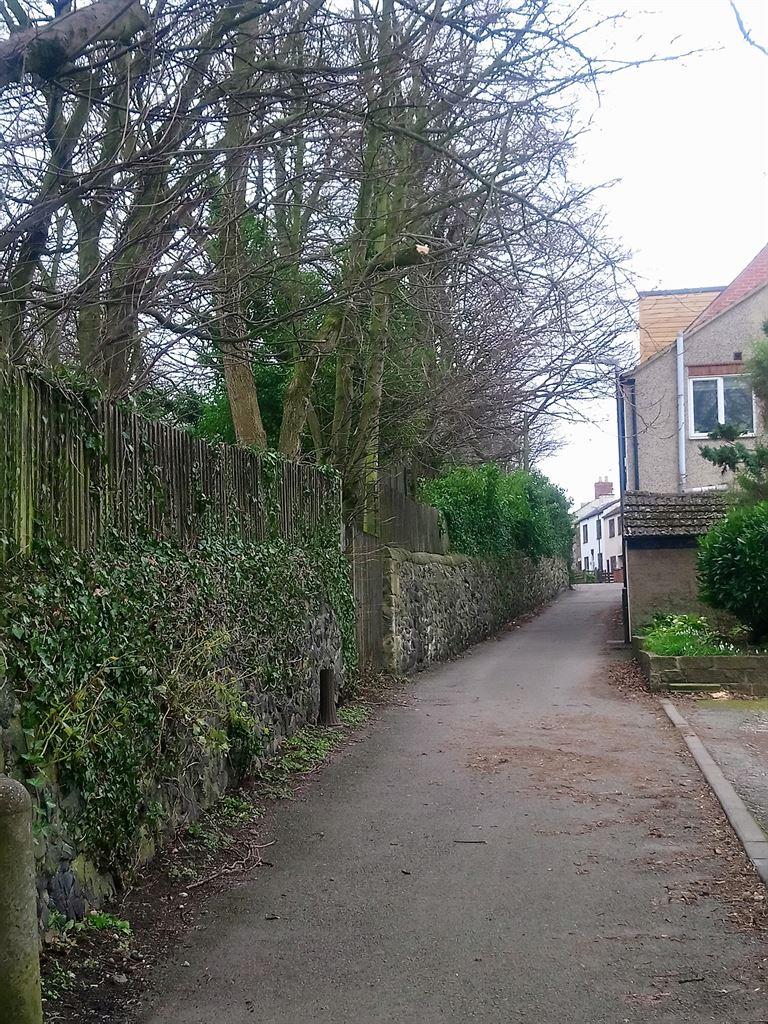 lane