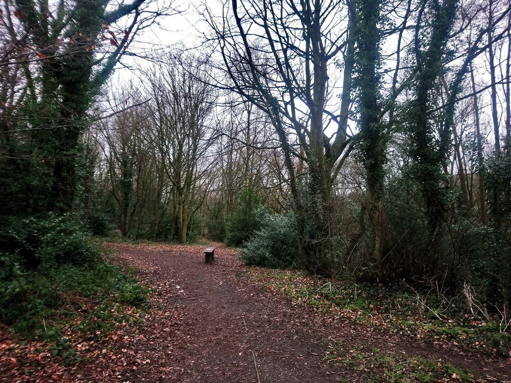 carrwoodbench