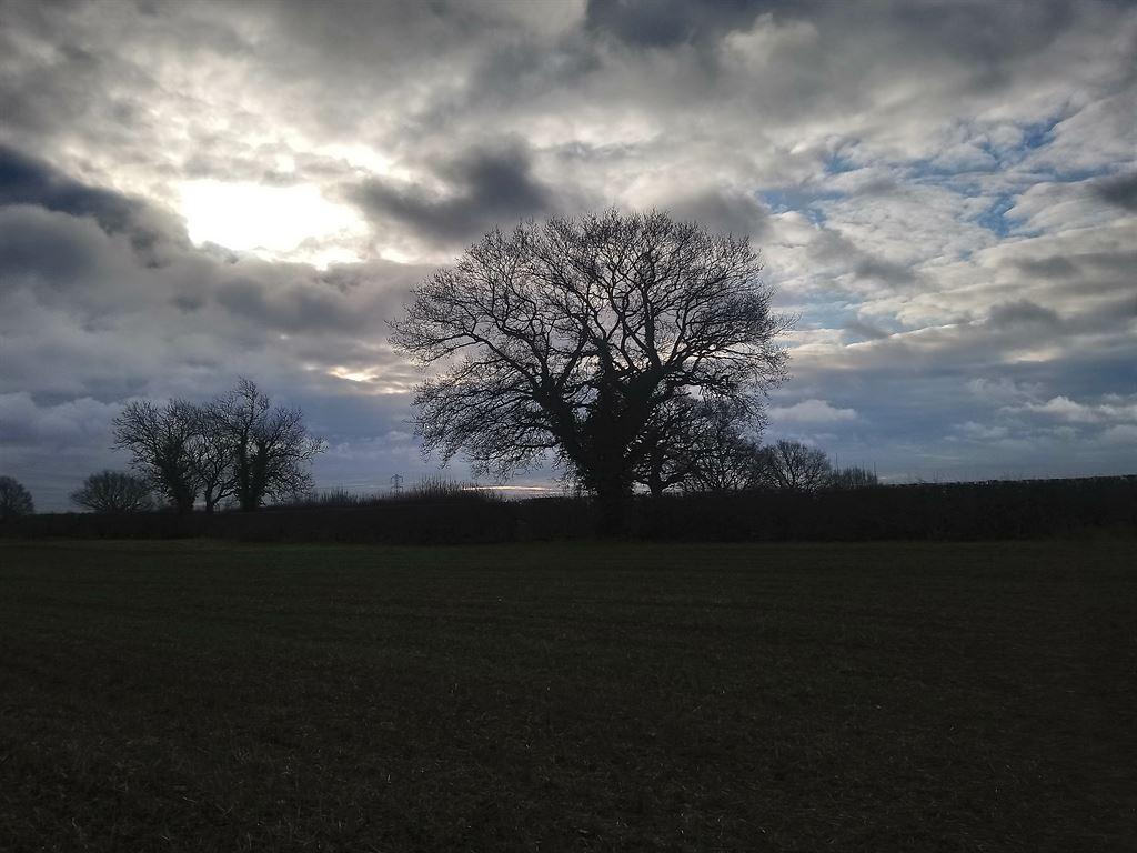 light1