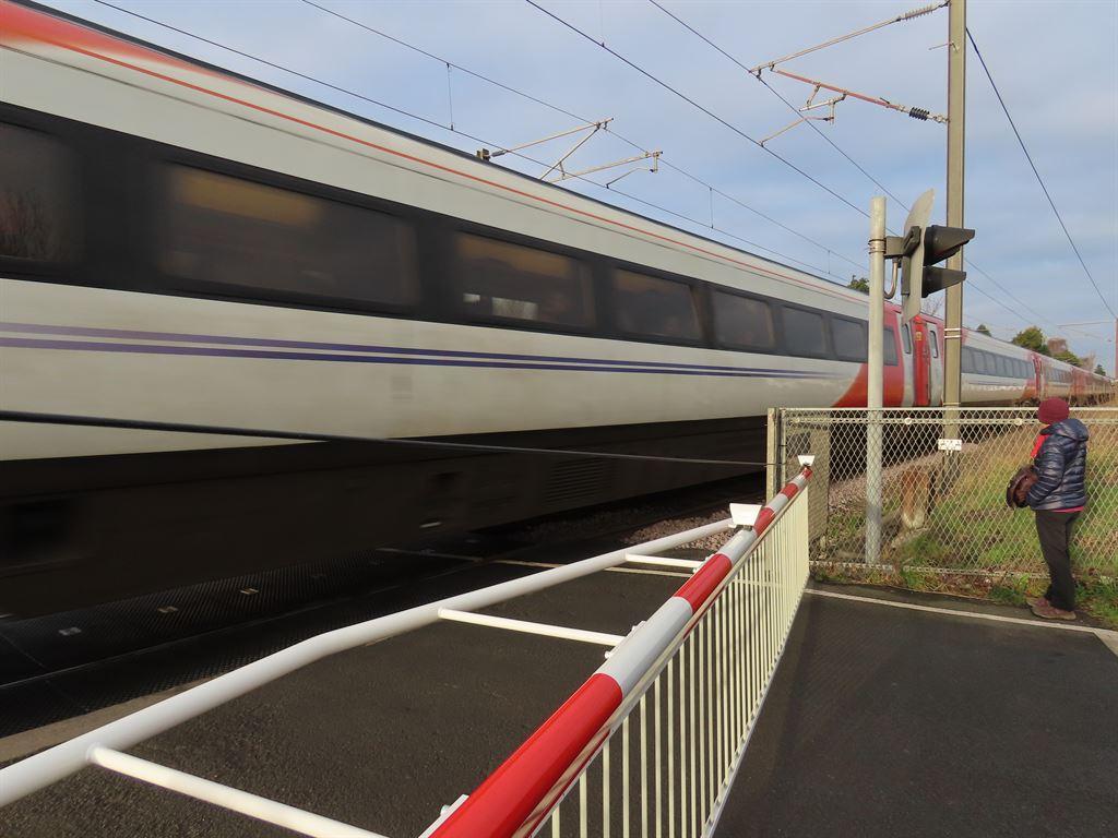 train1