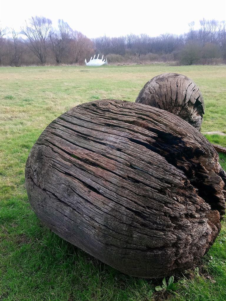 logs
