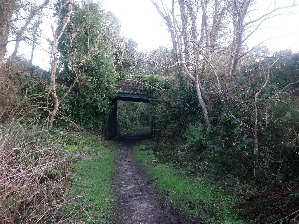 bridge1
