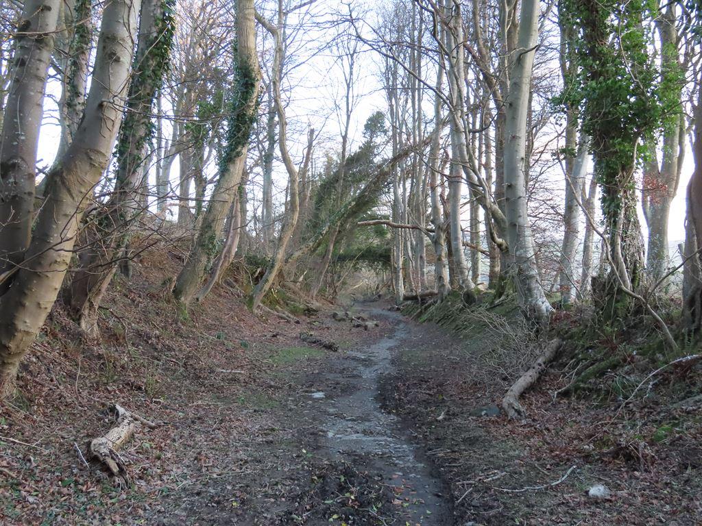 path