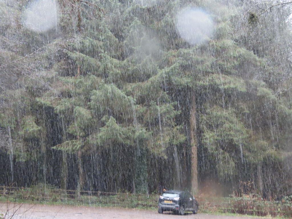 snow1