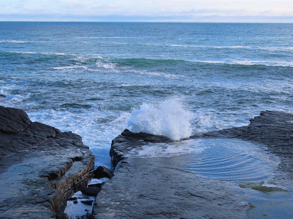 blowhole