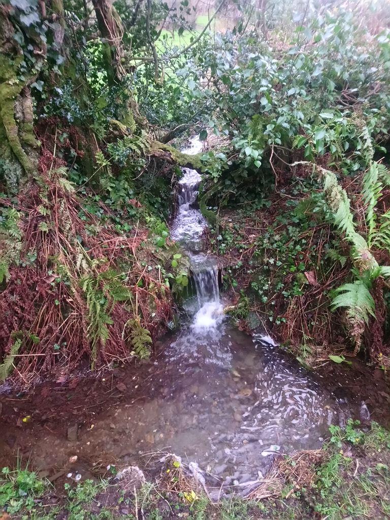 stream